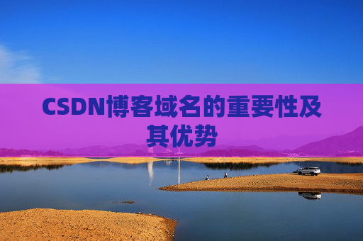 CSDN博客域名的重要性及其优势